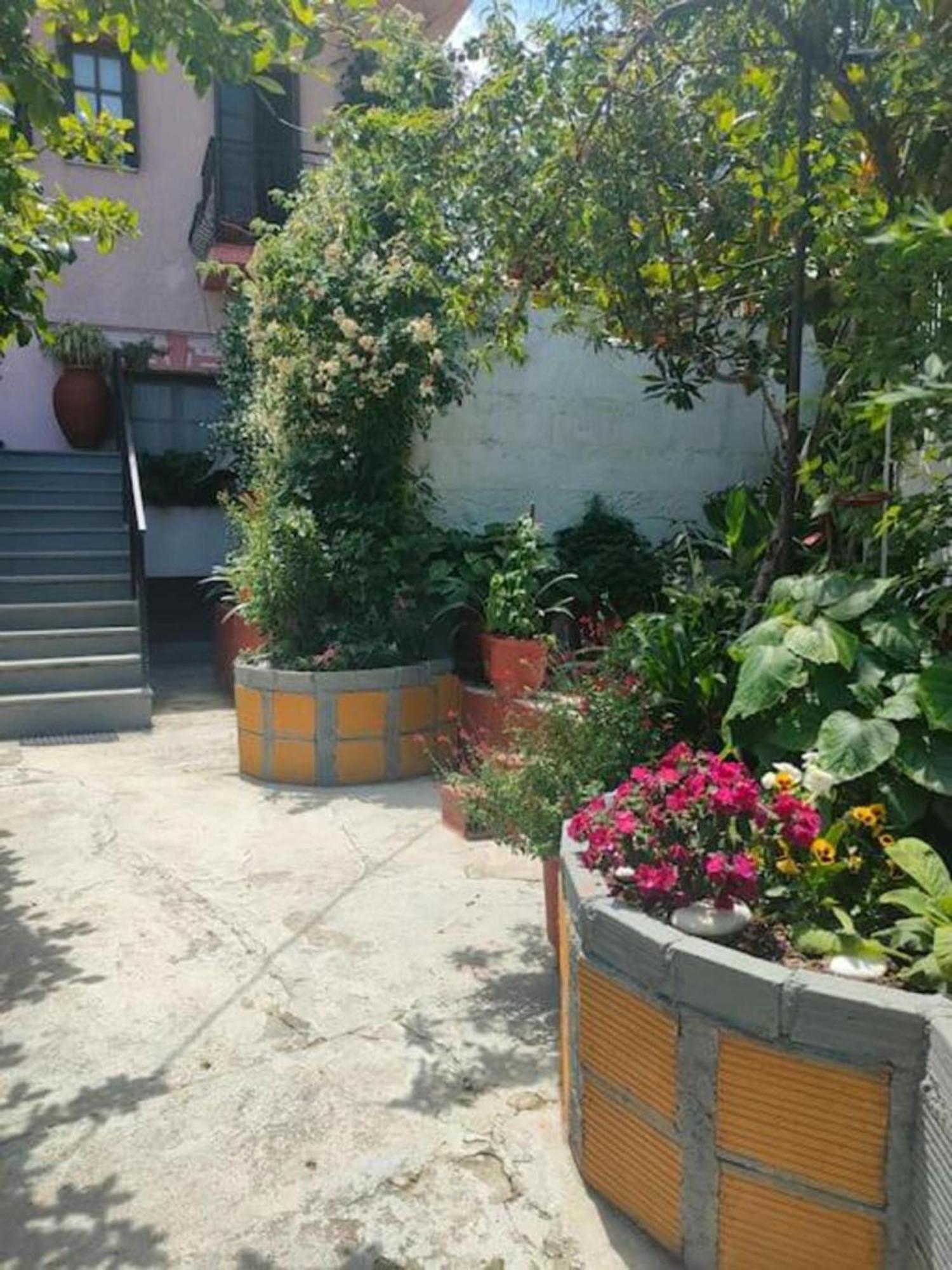MakrirrákhiHara'S House Pelion公寓 外观 照片
